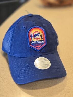 Chicago Cubs Spring Training Trucker Hat - Royal Blue